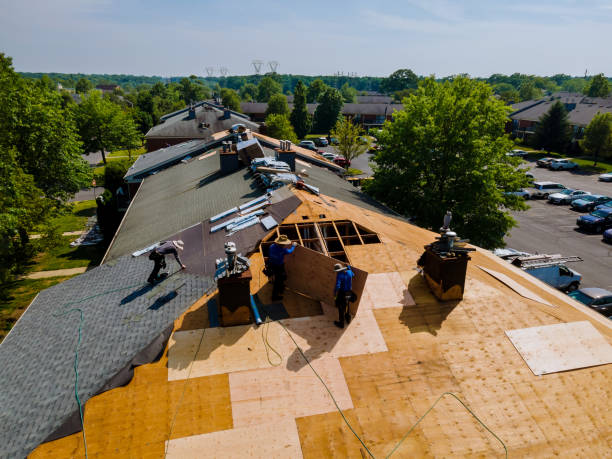 Best Roof Restoration Services  in Wyndham, VA